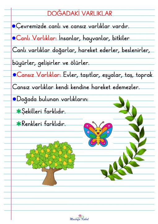 1.Sınıf Doğayı Gözlemleme Defter Notu