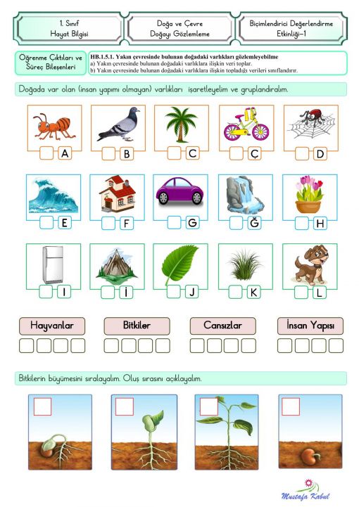  1.Sınıf Doğa ve Çevre Süreç Değerlendirme