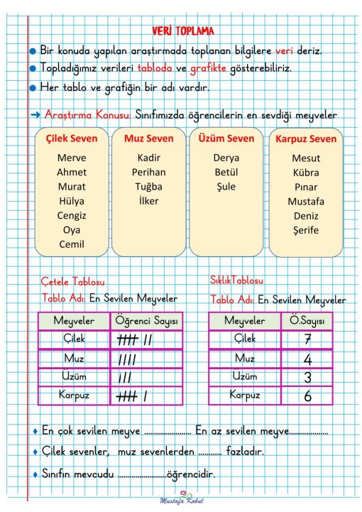  2.Sınıf Veriye Dayalı Araştırma Defter Notu
