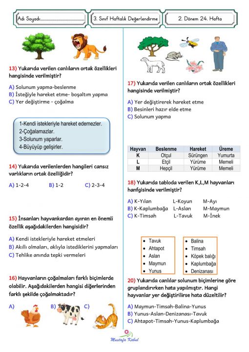  3.Sınıf Canlı ve Cansız Varlıklar