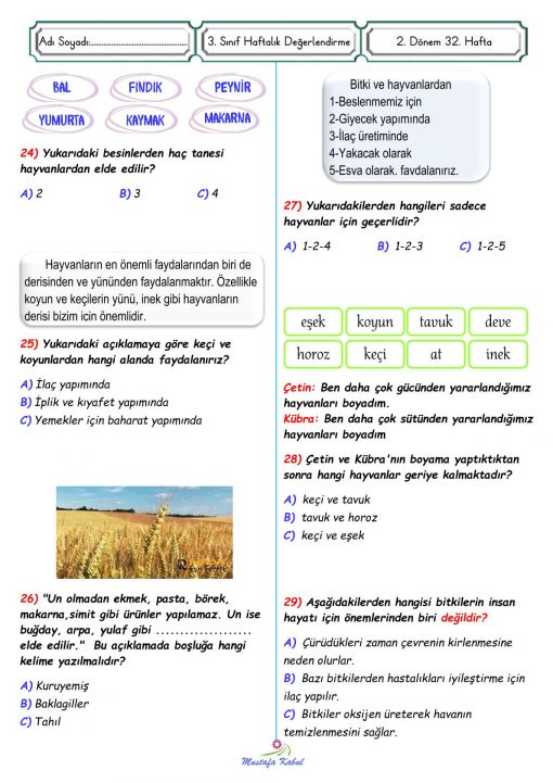  3.Sınıf Meyve ve Sebze Yetiştirme