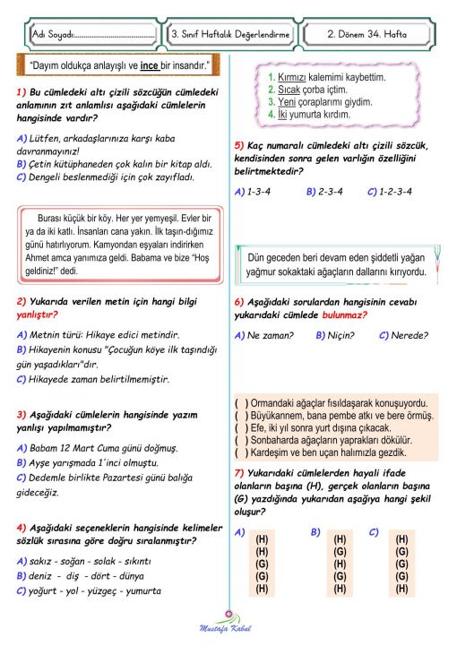  3.Sınıf Türkçe Genel Değerlendirme