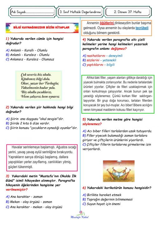  3.Sınıf Türkçe Genel Değerlendirme